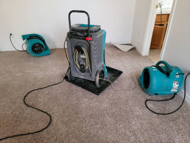 Best Emergency water damage restoration  in Osceola, WI