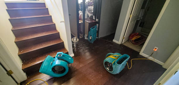 Best Water damage restoration near me  in Osceola, WI