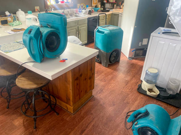 Best Fire Damage Restoration  in Osceola, WI