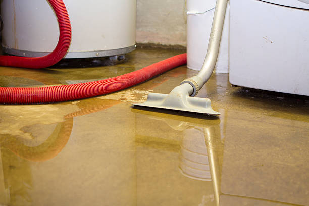 Best Ceiling water damage repair  in Osceola, WI