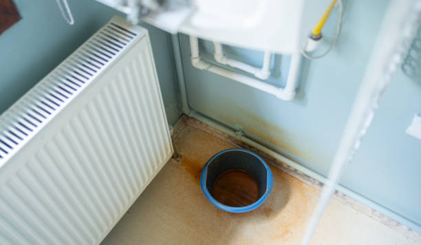 Best Basement water damage restoration  in Osceola, WI