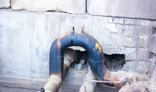 Best Professional water damage repair  in Osceola, WI